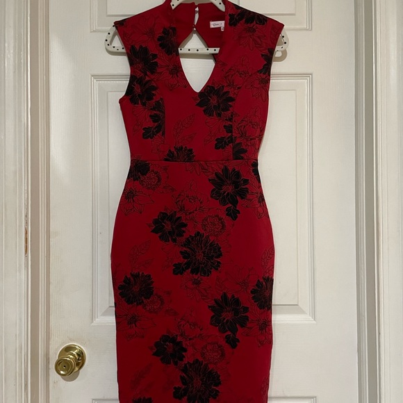 PRETTY POINSETTIA DRESS